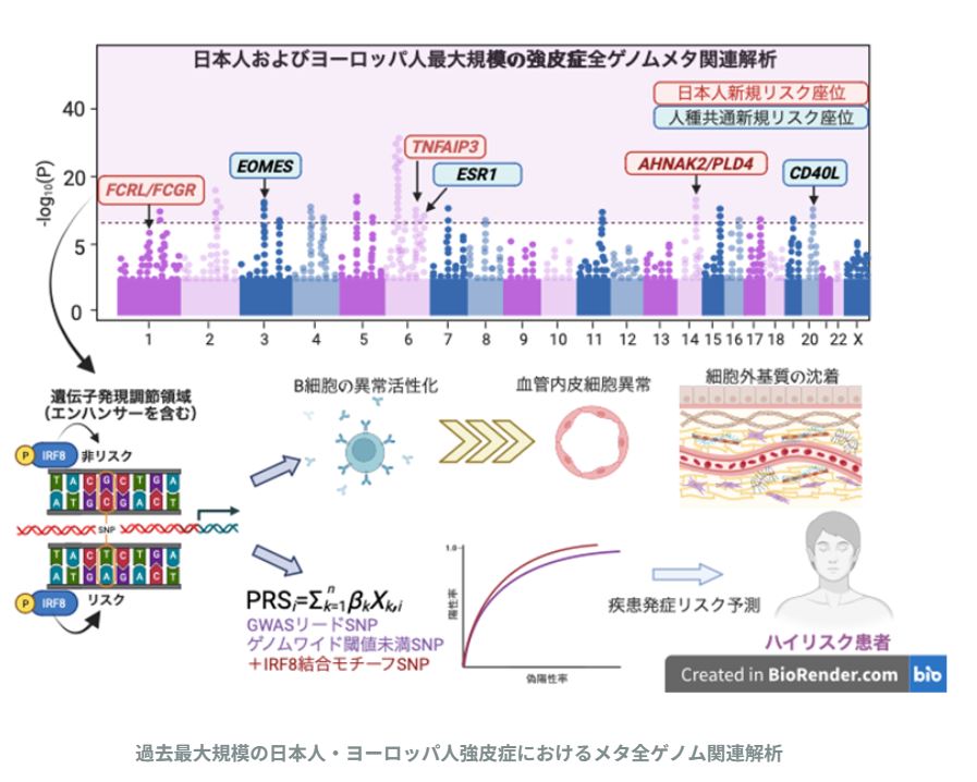 プレスリリース] アジア最大の強皮症全ゲノム関連解析－新たな遺伝背景